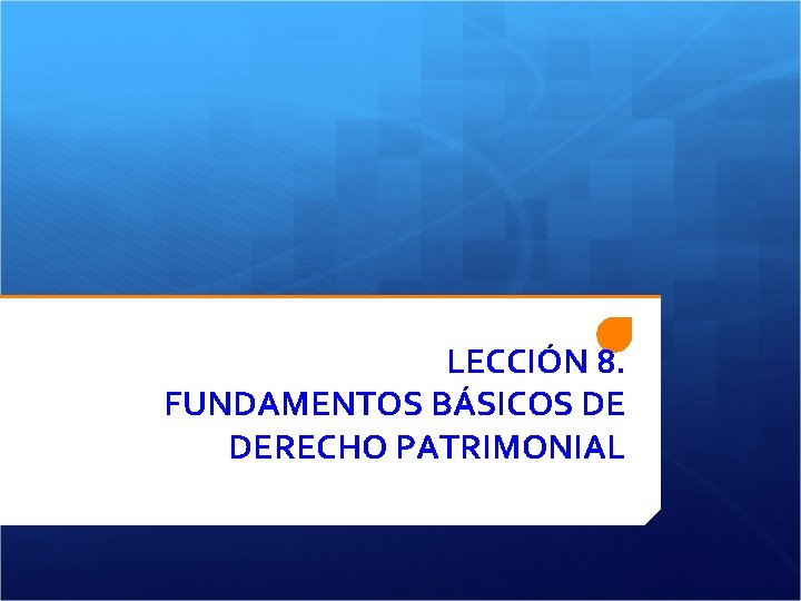 LECCIÓN 8. FUNDAMENTOS BÁSICOS DE DERECHO PATRIMONIAL 