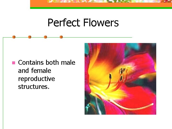 Perfect Flowers n Contains both male and female reproductive structures. 