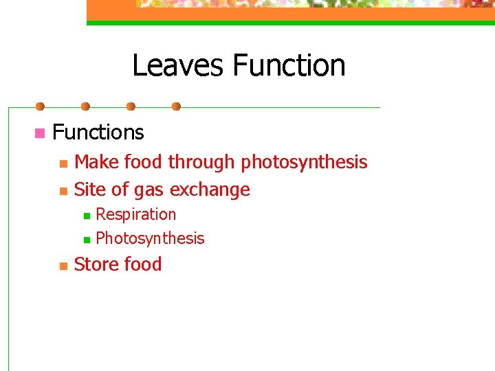 Leaves Function n Functions n n Make food through photosynthesis Site of gas exchange