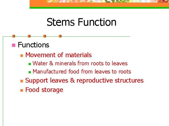 Stems Function n Functions n Movement of materials Water & minerals from roots to