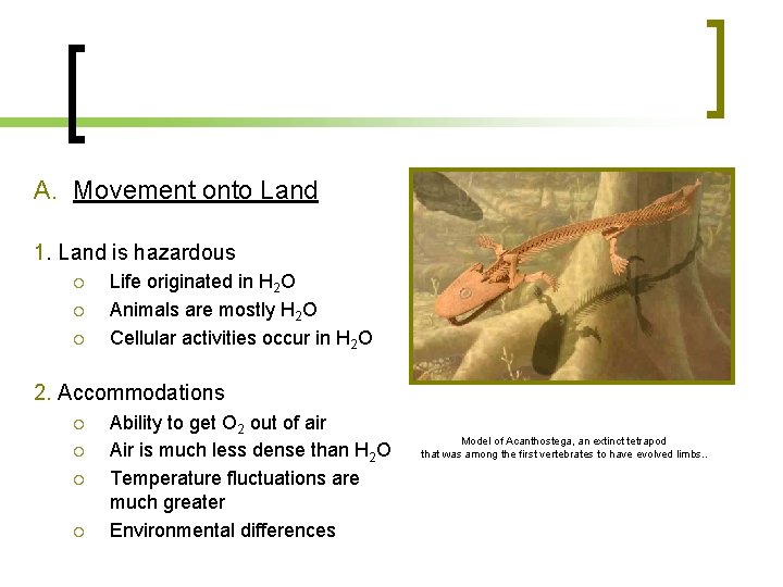 A. Movement onto Land 1. Land is hazardous Life originated in H 2 O