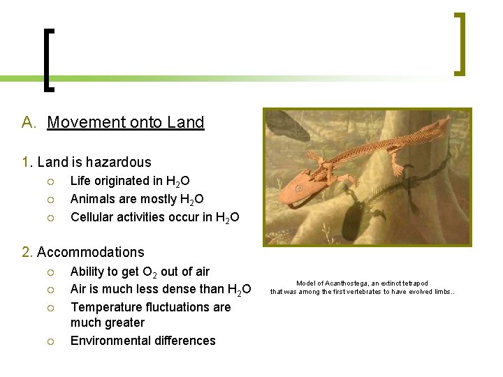 A. Movement onto Land 1. Land is hazardous Life originated in H 2 O A. Movement onto Land 1. Land is hazardous Life originated in H 2 O
