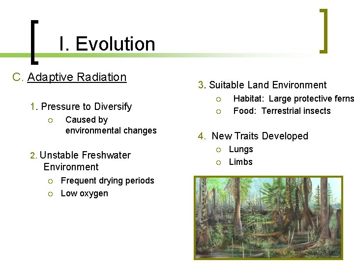 I. Evolution C. Adaptive Radiation 1. Pressure to Diversify Caused by environmental changes 2.
