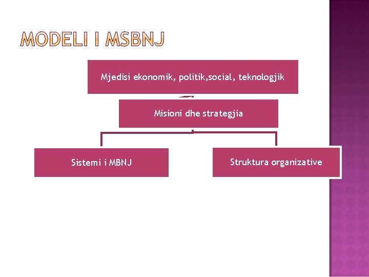 Mjedisi ekonomik, politik, social, teknologjik Misioni dhe strategjia Sistemi i MBNJ Struktura organizative 