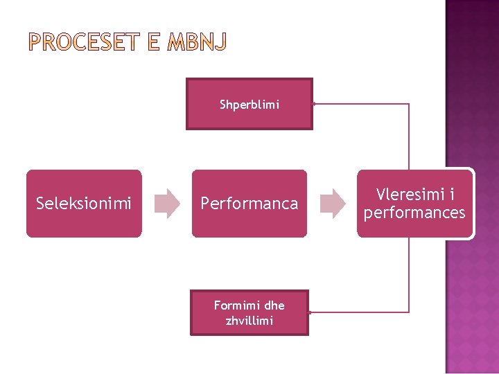 Shperblimi Seleksionimi Performanca Formimi dhe zhvillimi Vleresimi i performances 