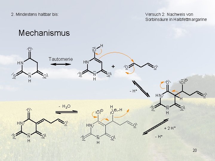 2. Mindestens haltbar bis: Versuch 2: Nachweis von Sorbinsäure in Halbfettmargarine Mechanismus O Tautomerie
