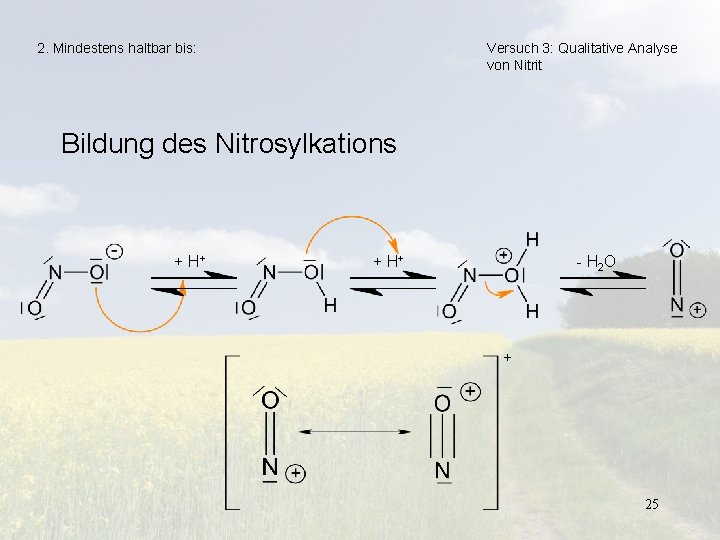 2. Mindestens haltbar bis: Versuch 3: Qualitative Analyse von Nitrit Bildung des Nitrosylkations +