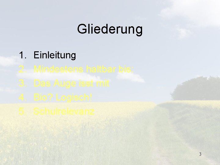 Gliederung 1. 2. 3. 4. 5. Einleitung Mindestens haltbar bis: Das Auge isst mit