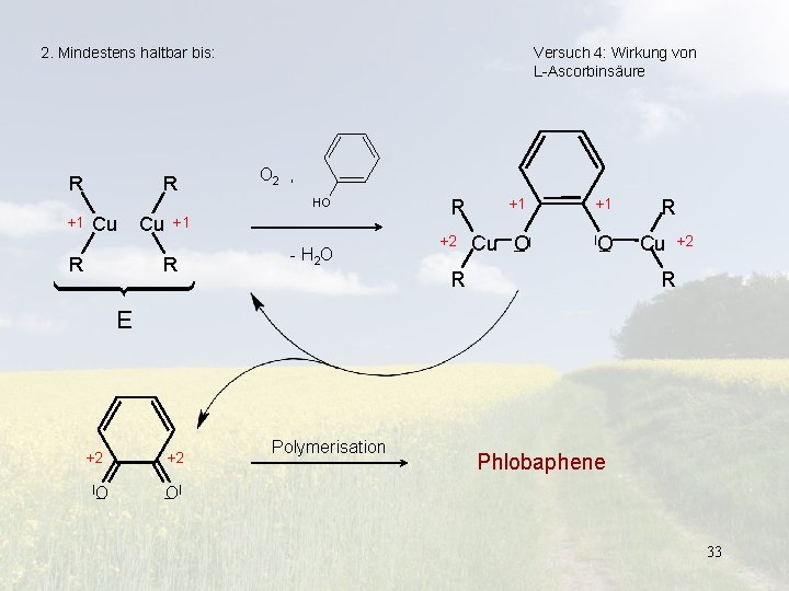 2. Mindestens haltbar bis: R R Versuch 4: Wirkung von L-Ascorbinsäure O 2 ,