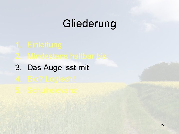 Gliederung 1. 2. 3. 4. 5. Einleitung Mindestens haltbar bis: Das Auge isst mit