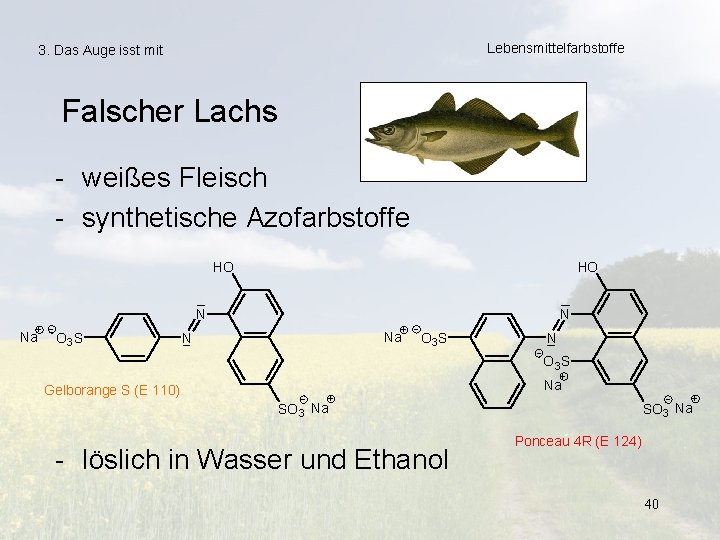 Lebensmittelfarbstoffe 3. Das Auge isst mit Falscher Lachs - weißes Fleisch - synthetische Azofarbstoffe