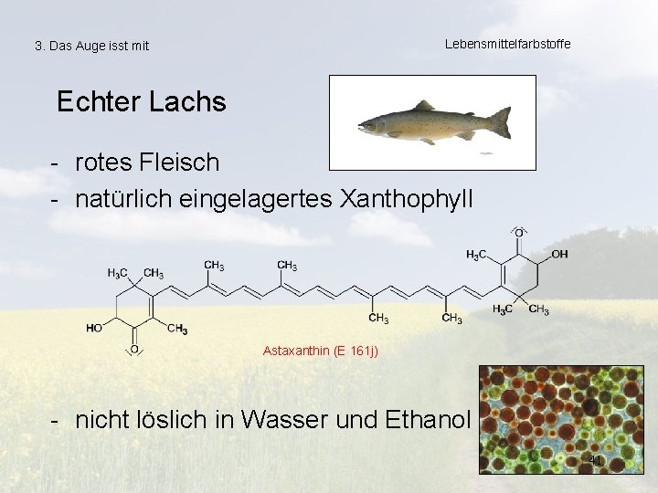 Lebensmittelfarbstoffe 3. Das Auge isst mit Echter Lachs - rotes Fleisch - natürlich eingelagertes