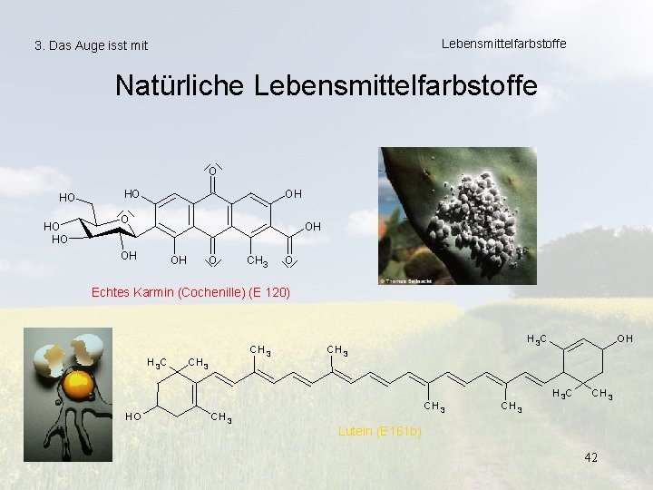 Lebensmittelfarbstoffe 3. Das Auge isst mit Natürliche Lebensmittelfarbstoffe O HO HO OH OH OH