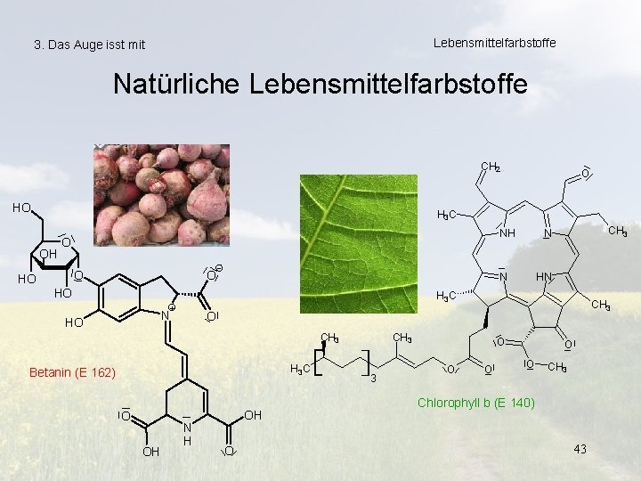 Lebensmittelfarbstoffe 3. Das Auge isst mit Natürliche Lebensmittelfarbstoffe CH 2 HO O H 3