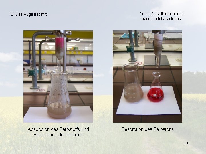 3. Das Auge isst mit Demo 2: Isolierung eines Lebensmittelfarbstoffes Befüllen der Mikrosäule Adsorption