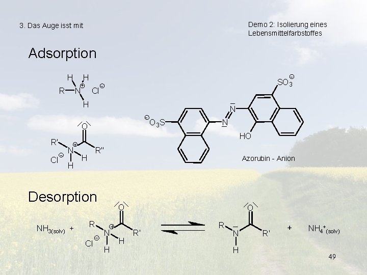 Demo 2: Isolierung eines Lebensmittelfarbstoffes 3. Das Auge isst mit Adsorption H H +