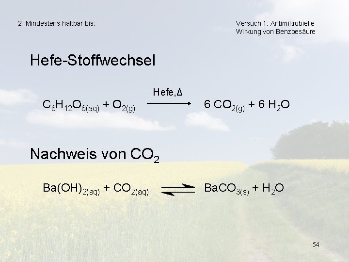 2. Mindestens haltbar bis: Versuch 1: Antimikrobielle Wirkung von Benzoesäure Hefe-Stoffwechsel Hefe, Δ C