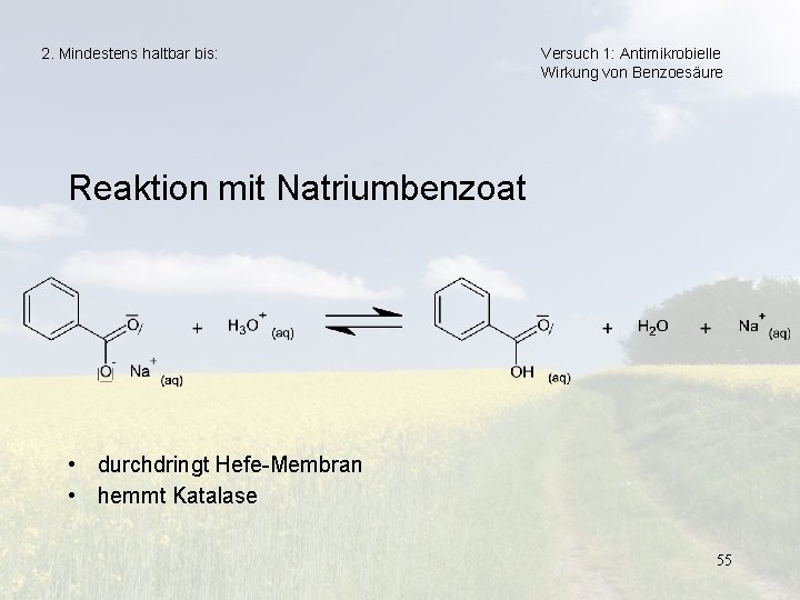 2. Mindestens haltbar bis: Versuch 1: Antimikrobielle Wirkung von Benzoesäure Reaktion mit Natriumbenzoat •