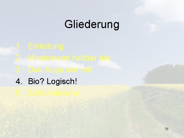 Gliederung 1. 2. 3. 4. 5. Einleitung Mindestens haltbar bis: Das Auge isst mit