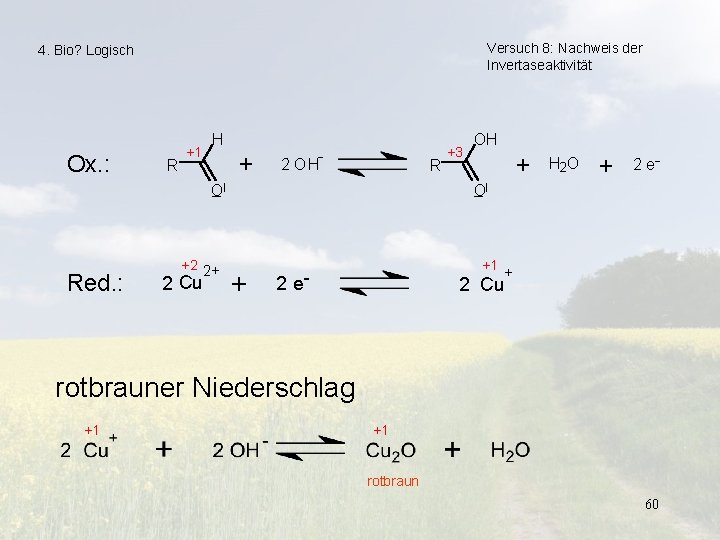 Versuch 8: Nachweis der Invertaseaktivität 4. Bio? Logisch Ox. : R +1 H +