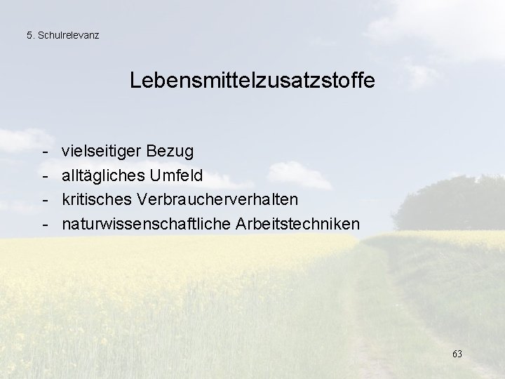 5. Schulrelevanz Lebensmittelzusatzstoffe - vielseitiger Bezug alltägliches Umfeld kritisches Verbraucherverhalten naturwissenschaftliche Arbeitstechniken 63 