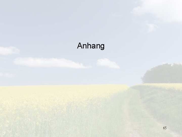 Anhang 65 