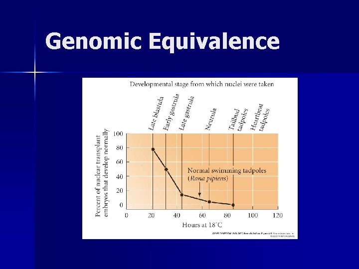 Genomic Equivalence 