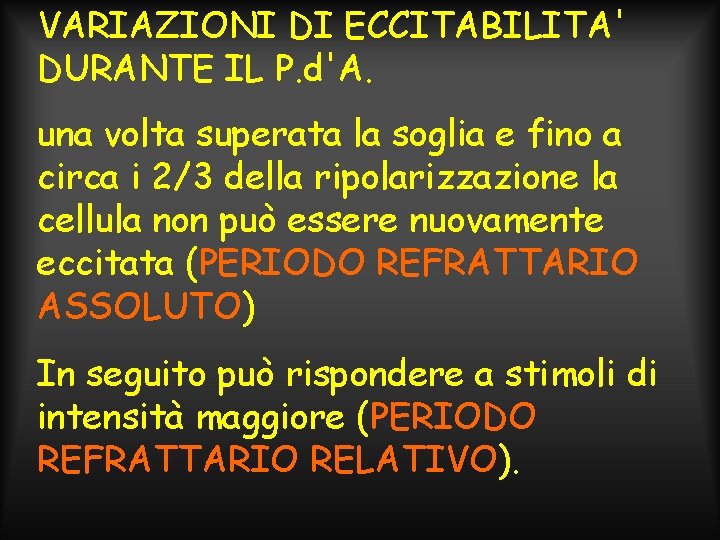 VARIAZIONI DI ECCITABILITA' DURANTE IL P. d'A. una volta superata la soglia e fino