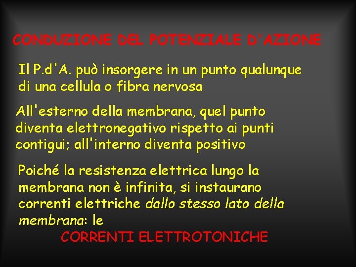 CONDUZIONE DEL POTENZIALE D'AZIONE Il P. d'A. può insorgere in un punto qualunque di