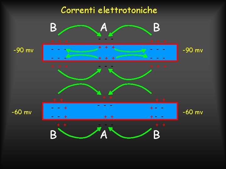 Correnti elettrotoniche -90 mv -60 mv + + A + + + - -