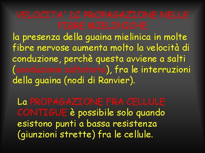 VELOCITA' DI PROPAGAZIONE NELLE FIBRE MIELINICHE la presenza della guaina mielinica in molte fibre