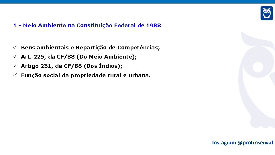 1 - Meio Ambiente na Constituição Federal de 1988 Bens ambientais e Repartição de