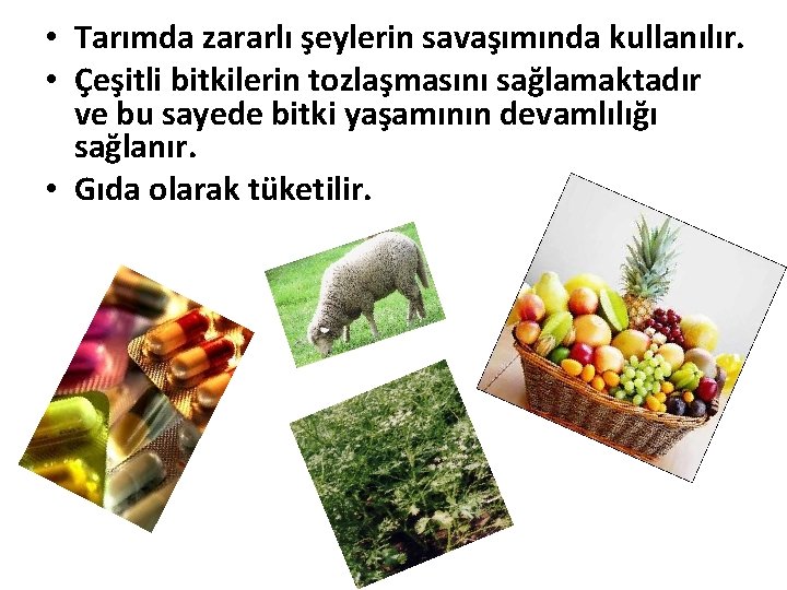  • Tarımda zararlı şeylerin savaşımında kullanılır. • Çeşitli bitkilerin tozlaşmasını sağlamaktadır ve bu
