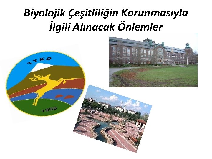 Biyolojik Çeşitliliğin Korunmasıyla İlgili Alınacak Önlemler 