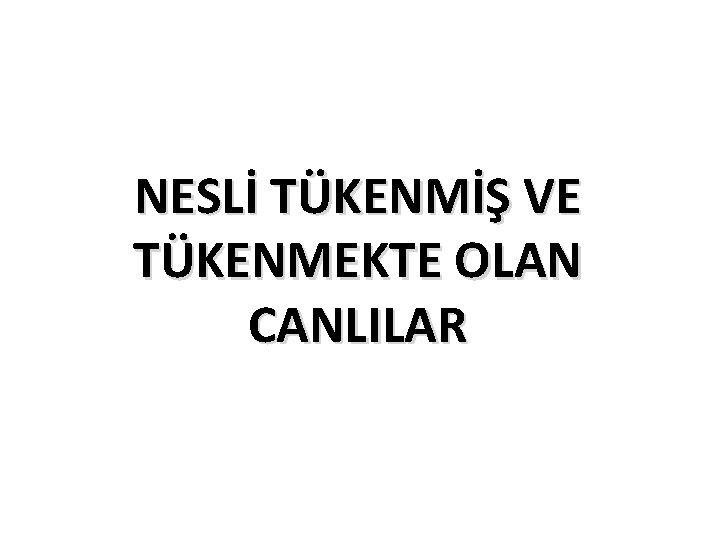 NESLİ TÜKENMİŞ VE TÜKENMEKTE OLAN CANLILAR 