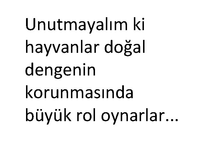 Unutmayalım ki hayvanlar doğal dengenin korunmasında büyük rol oynarlar. . . 