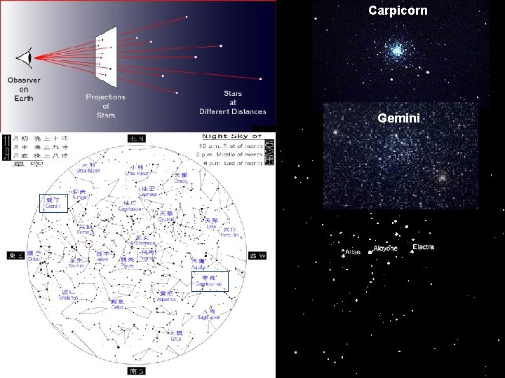 Carpicorn Gemini 