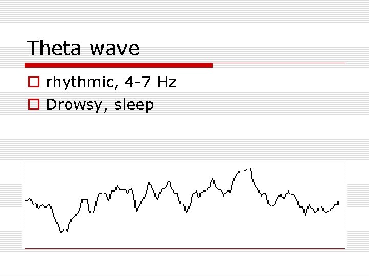 Theta wave o rhythmic, 4 -7 Hz o Drowsy, sleep 