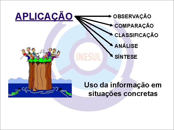 APLICAÇÃO OBSERVAÇÃO COMPARAÇÃO CLASSIFICAÇÃO ANÁLISE SÍNTESE Uso da informação em situações concretas 
