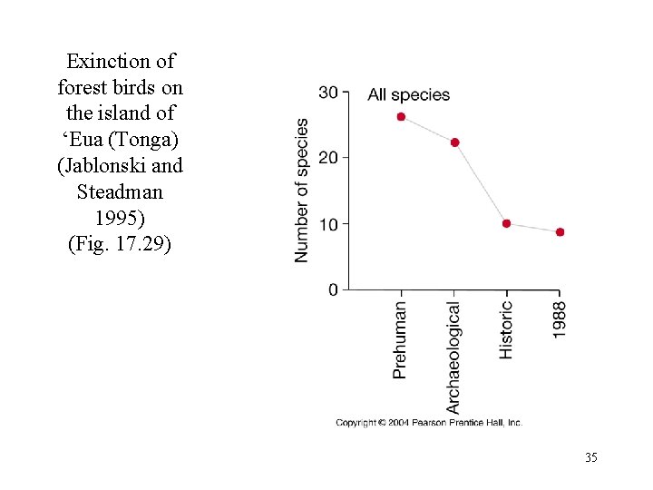 Exinction of forest birds on the island of ‘Eua (Tonga) (Jablonski and Steadman 1995)