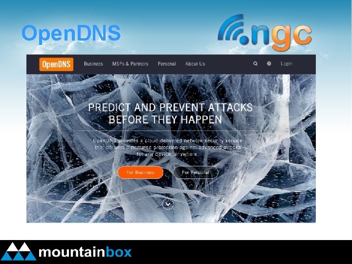 Open. DNS 