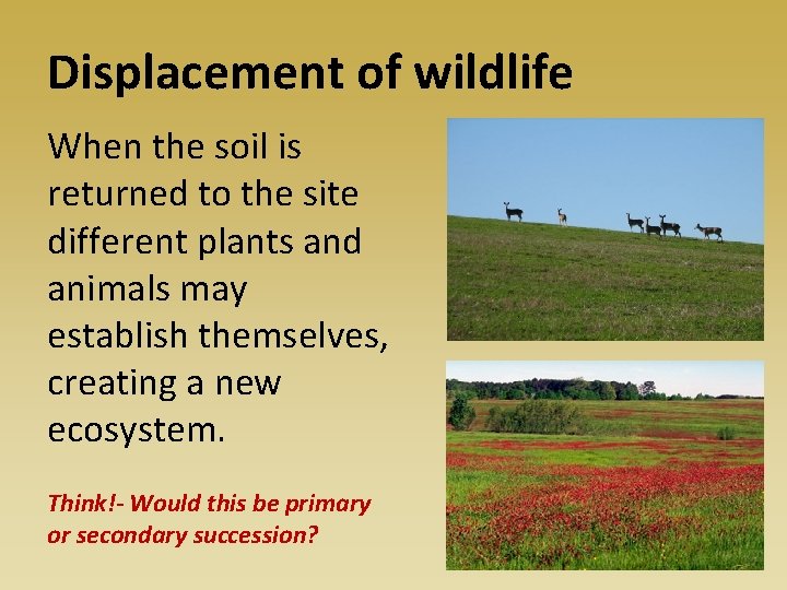 Displacement of wildlife When the soil is returned to the site different plants and