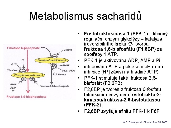 Metabolismus sacharidů • Fosfofruktokinasa-1 (PFK-1) – klíčový regulační enzym glykolýzy – katalýza ireverzibilního kroku