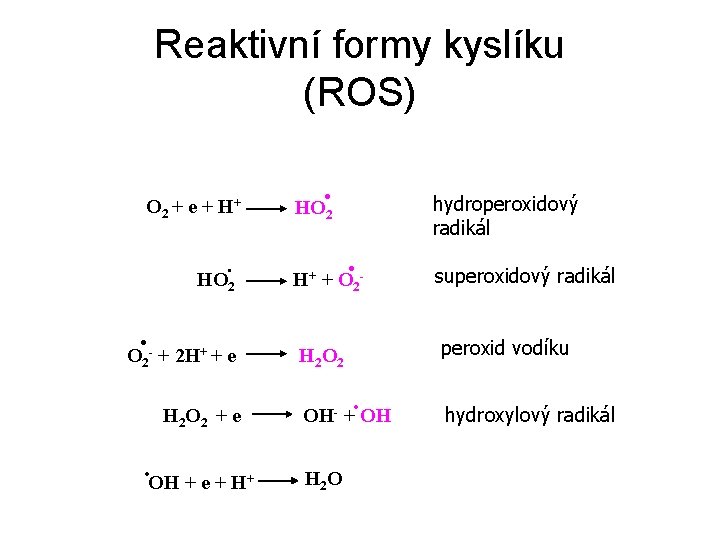 Reaktivní formy kyslíku (ROS) O 2 + e + H+ . HO 2 .