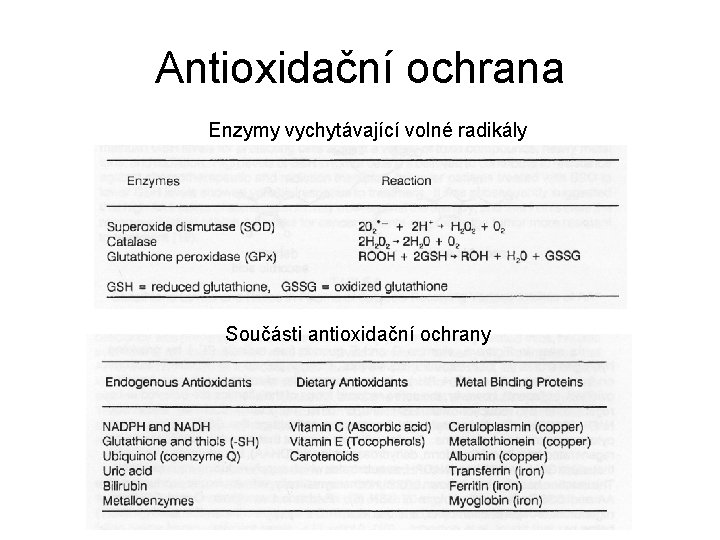 Antioxidační ochrana Enzymy vychytávající volné radikály Součásti antioxidační ochrany 