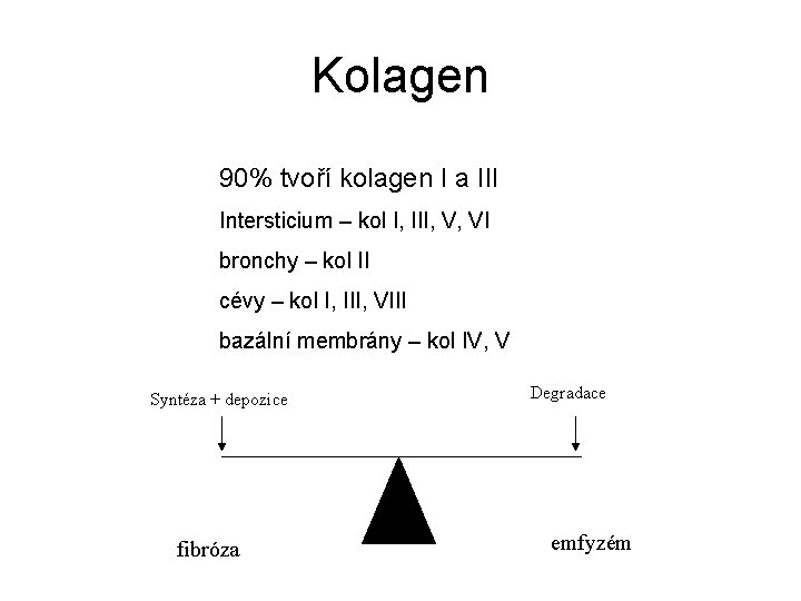 Kolagen 90% tvoří kolagen I a III Intersticium – kol I, III, V, VI