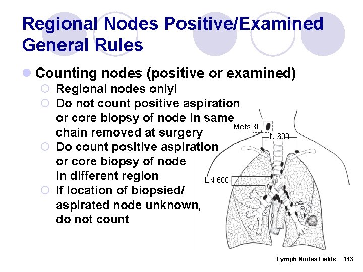 Regional Nodes Positive/Examined General Rules l Counting nodes (positive or examined) ¡ Regional nodes