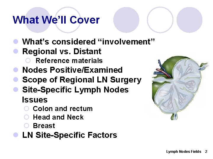 What We’ll Cover l What’s considered “involvement” l Regional vs. Distant ¡ Reference materials