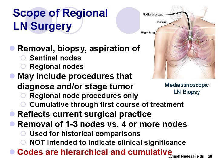 Scope of Regional LN Surgery l Removal, biopsy, aspiration of ¡ Sentinel nodes ¡