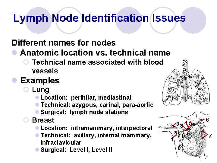 Lymph Node Identification Issues Different names for nodes l Anatomic location vs. technical name